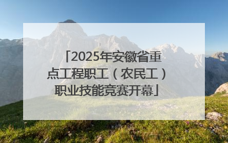 2025年安徽省重点工程职工（农民工）职业技能竞赛开幕