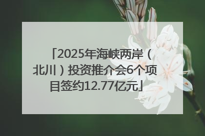 2025年海峡两岸（北川）投资推介会6个项目签约12.77亿元