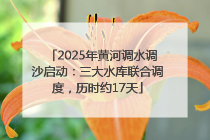 2025年黄河调水调沙启动：三大水库联合调度，历时约17天