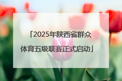 2025年陕西省群众体育五级联赛正式启动