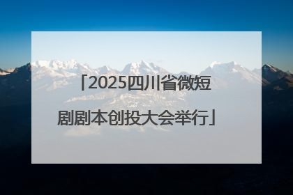 2025四川省微短剧剧本创投大会举行