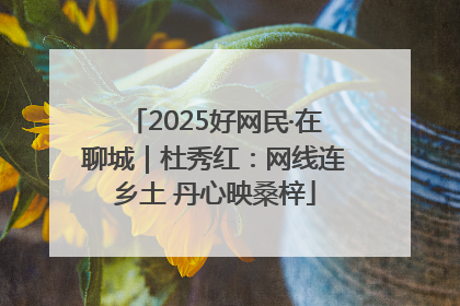 2025好网民·在聊城｜杜秀红：网线连乡土 丹心映桑梓