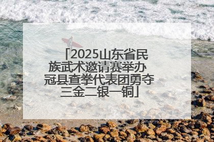 2025山东省民族武术邀请赛举办 冠县查拳代表团勇夺三金二银一铜