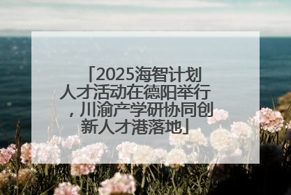 2025海智计划人才活动在德阳举行，川渝产学研协同创新人才港落地
