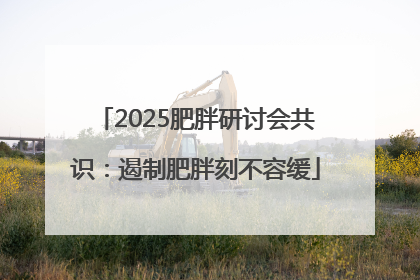 2025肥胖研讨会共识：遏制肥胖刻不容缓