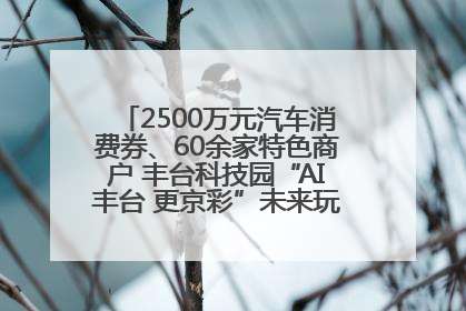 2500万元汽车消费券、60余家特色商户 丰台科技园“AI丰台 更京彩”未来玩家市集活动正式开幕