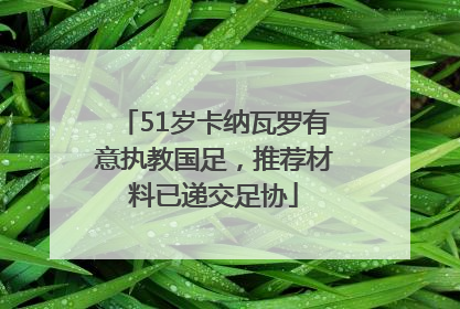 51岁卡纳瓦罗有意执教国足，推荐材料已递交足协