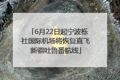 6月22日起宁波栎社国际机场将恢复直飞新疆吐鲁番航线
