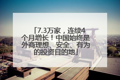 7.3万家，连续4个月增长！中国始终是外商理想、安全、有为的投资目的地