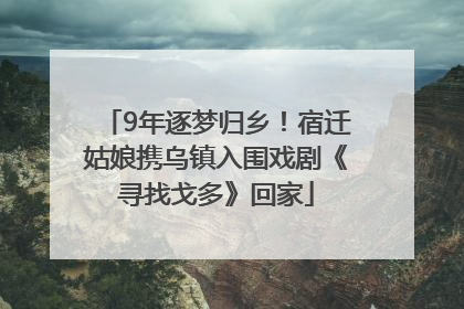 9年逐梦归乡！宿迁姑娘携乌镇入围戏剧《寻找戈多》回家