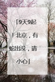 9天9起！北京，有蛇出没，请小心