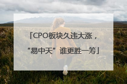 CPO板块久违大涨，“易中天”谁更胜一筹