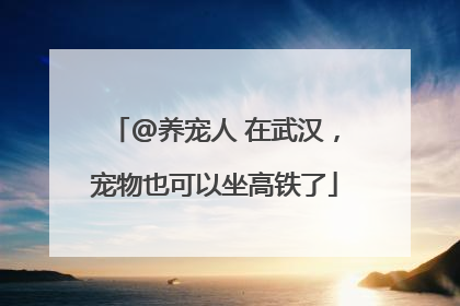 @养宠人 在武汉，宠物也可以坐高铁了