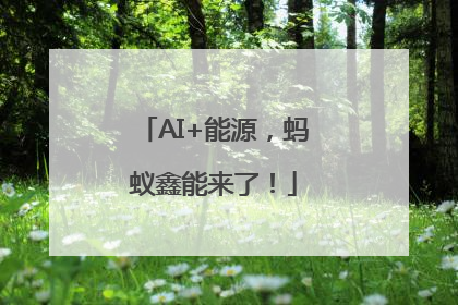 AI+能源，蚂蚁鑫能来了！
