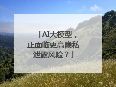 AI大模型，正面临更高隐私泄露风险？
