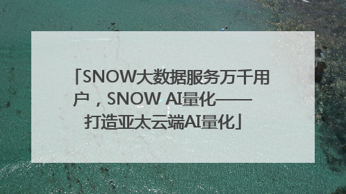 SNOW大数据服务万千用户，SNOW AI量化——打造亚太云端AI量化